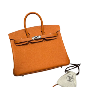 Сумка Hermes Birkin 25 RN2482