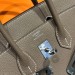 Сумка Hermes Birkin 25 RN2484