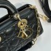 Сумка Christian Dior Small Lady D-Joy RN2503