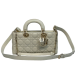 Сумка Christian Dior Medium Lady D-Joy RN2505