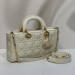 Сумка Christian Dior Medium Lady D-Joy RN2505