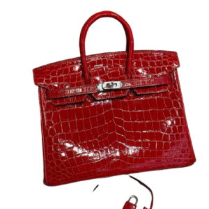 Сумка Hermes Birkin 25 RN2523