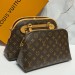 Сумка Louis Vuitton Ever More RN2598