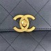 Сумка Chanel 25 S Handle Bag  RN2628