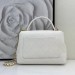 Сумка Chanel 25 S Handle Bag  RN2629