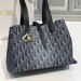 Сумка Christian Dior Oblique Bag RN2686
