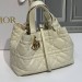 Сумка Christian Dior Toujours Bag RN2685