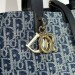 Сумка Christian Dior Oblique Bag RN2686