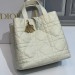 Сумка Christian Dior Toujours Bag RN2689