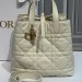 Сумка Christian Dior Toujours Bag RN2689